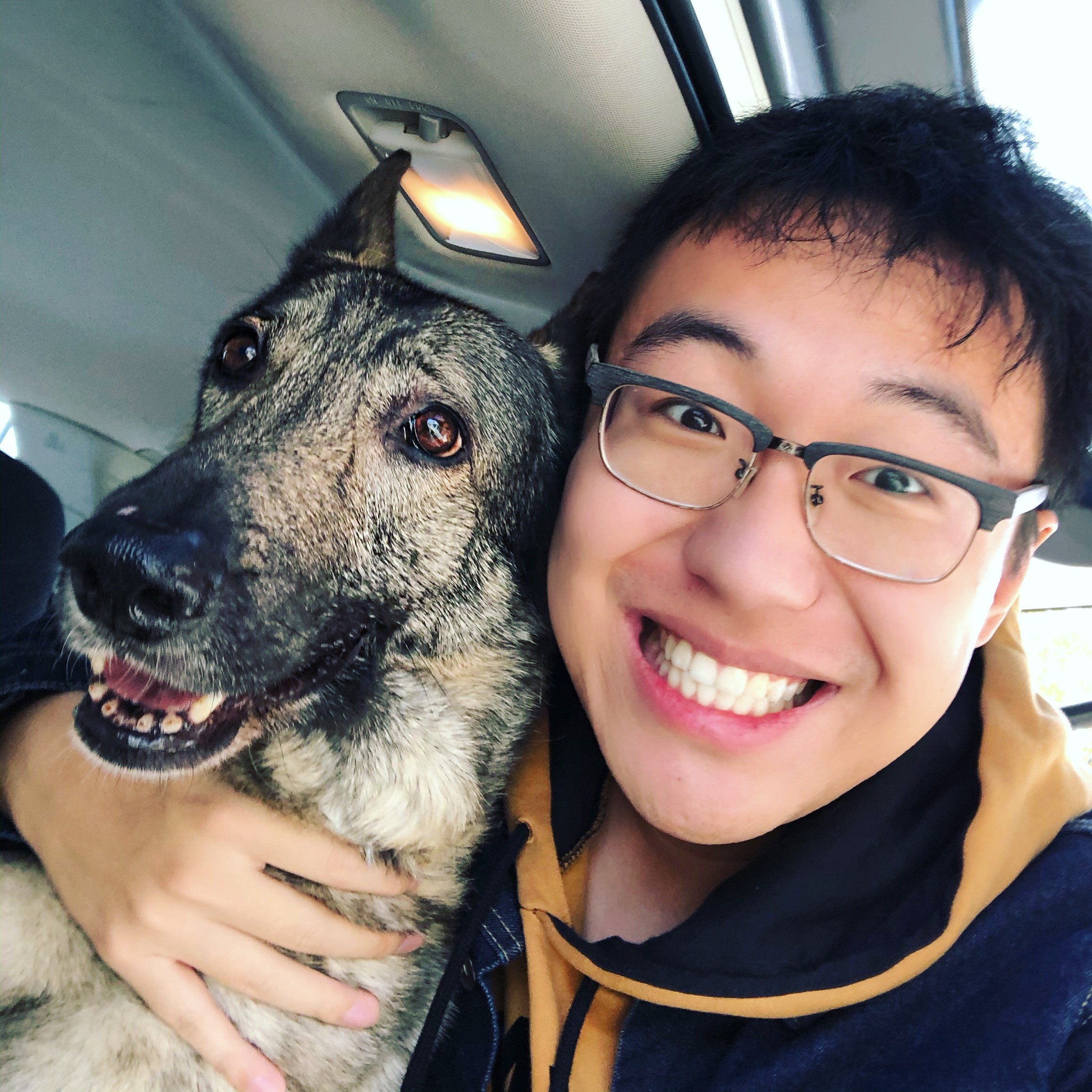 Portfolio hero profile image