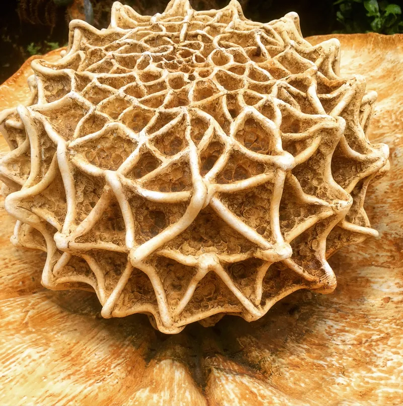 Butterfly Egg Adonis sculpture