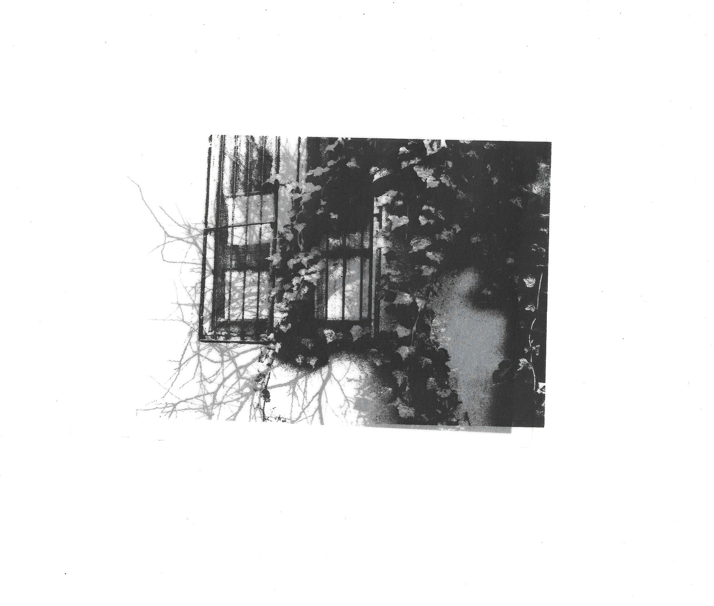 Noire Atelier image 3