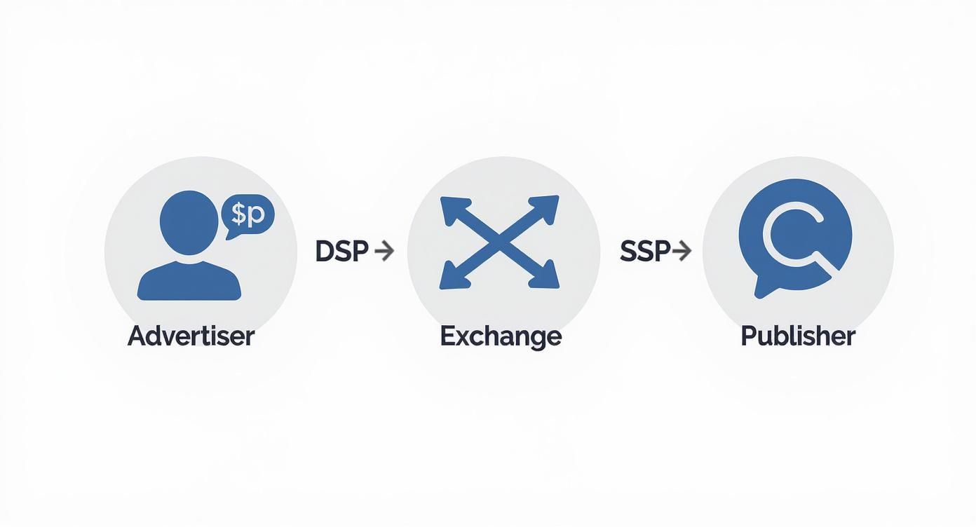 Infographic about real time bidding