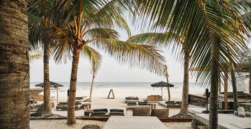 Beach club at Nômade Holbox, Holbox Mexico, with palm trees, loungers and views of the Caribbean Sea