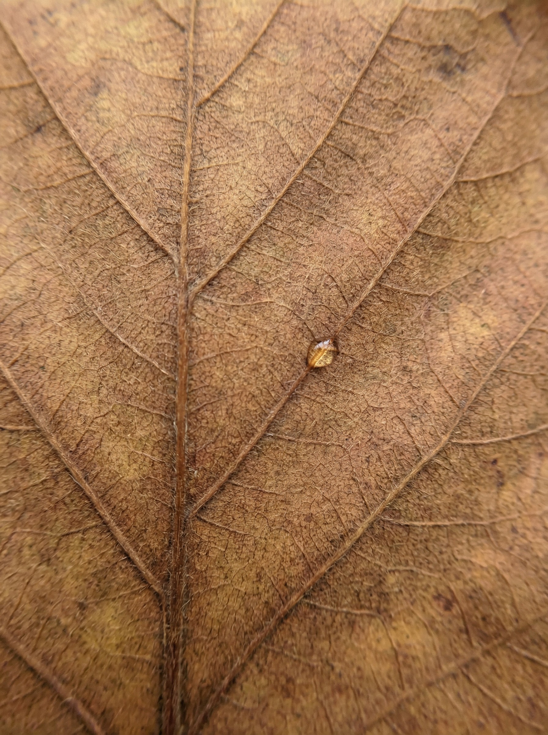 Ambiance apaisante d’un massage bien-être à Avignon, Vaucluse