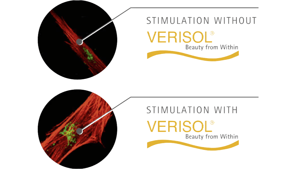 A serene and elegant spa space with wooden reclining chairs and white cushions. Golden sunlight filters through a cascading water feature, creating a peaceful atmosphere. Tropical plants and candles add to the relaxing ambiance.