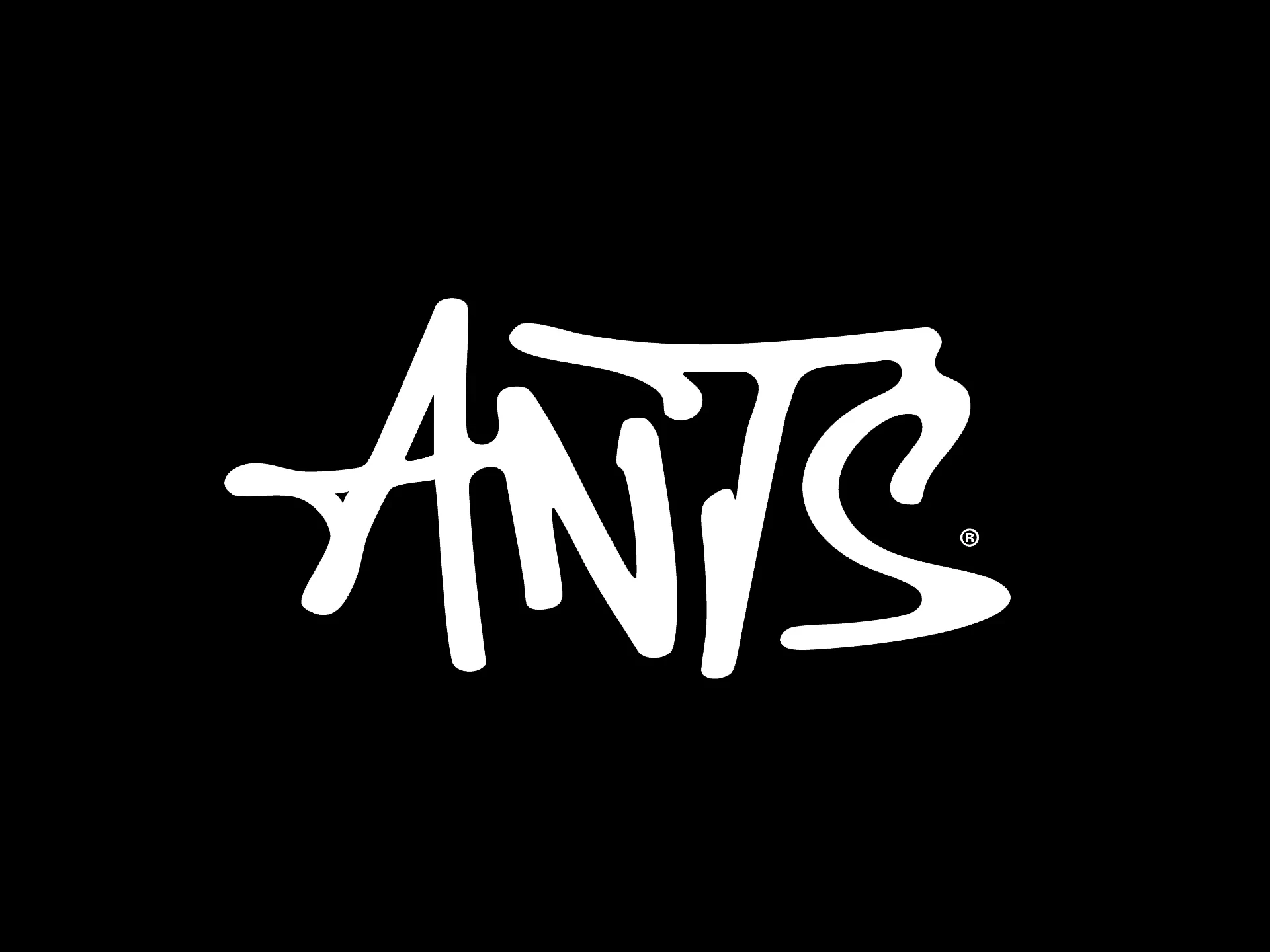 ANTS new brandmark. Credits : The Night League