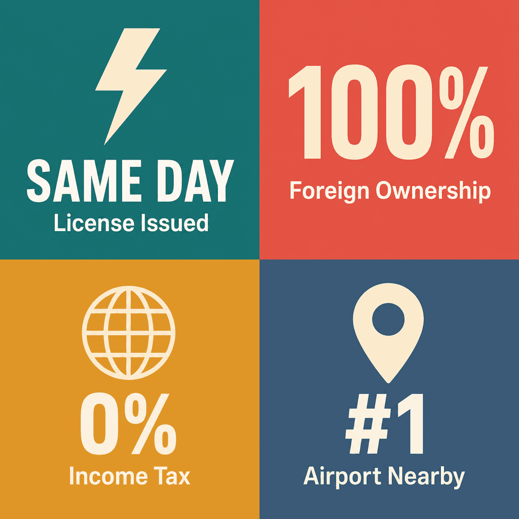 Infographic: Streamlining UAE Company Registration: Your Guide to Dubai South Business Hub Free Zone