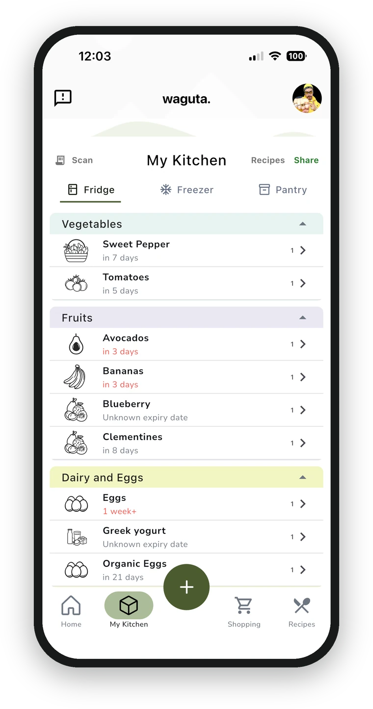 Waguta inventory grouped by fridge, freezer and pantry