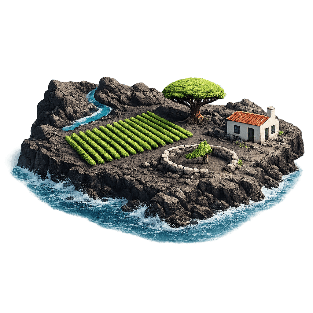 Artistic illustration of the Canary Islands wine region.