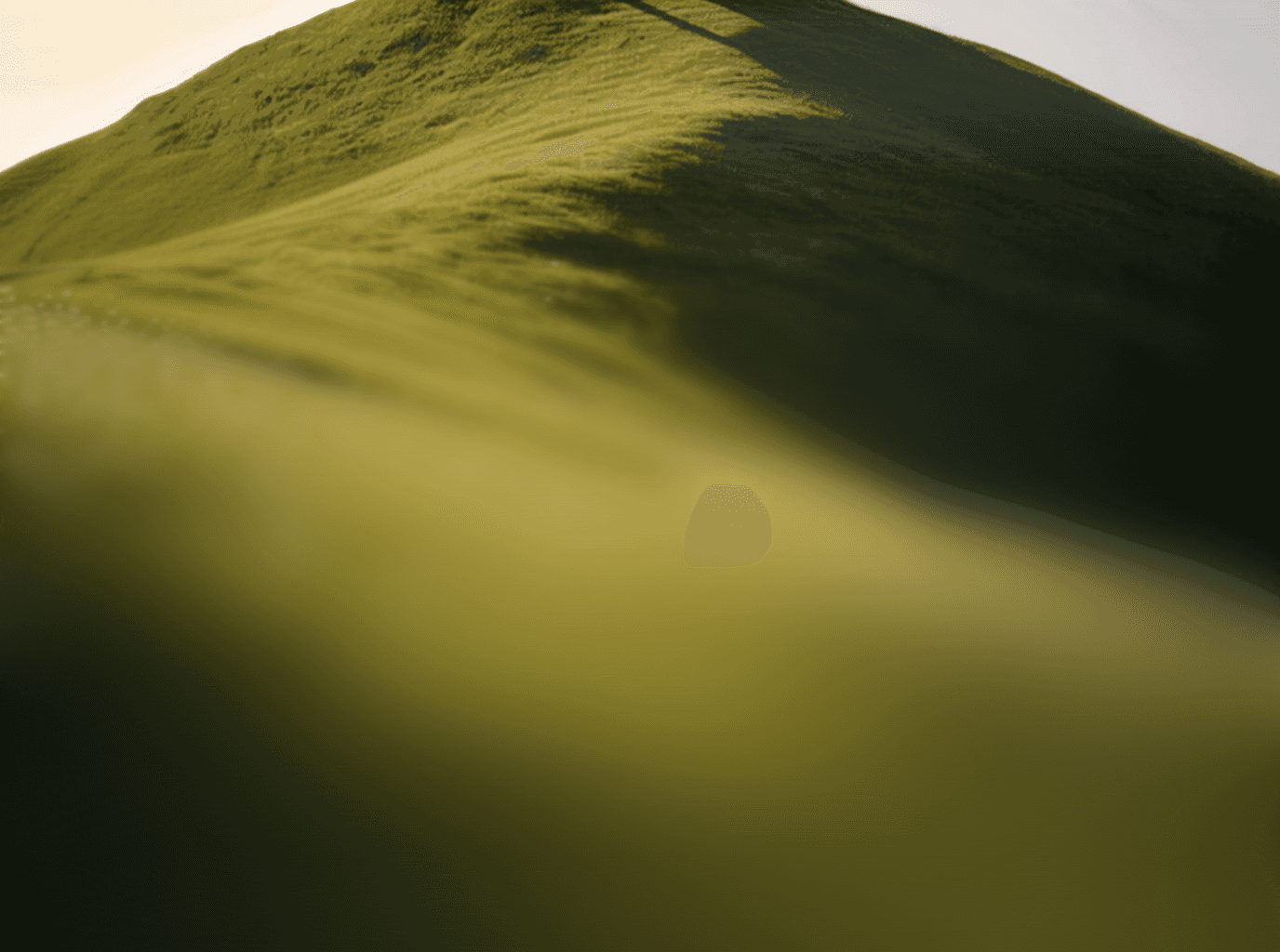 Hill of grass on a sunny blue sky