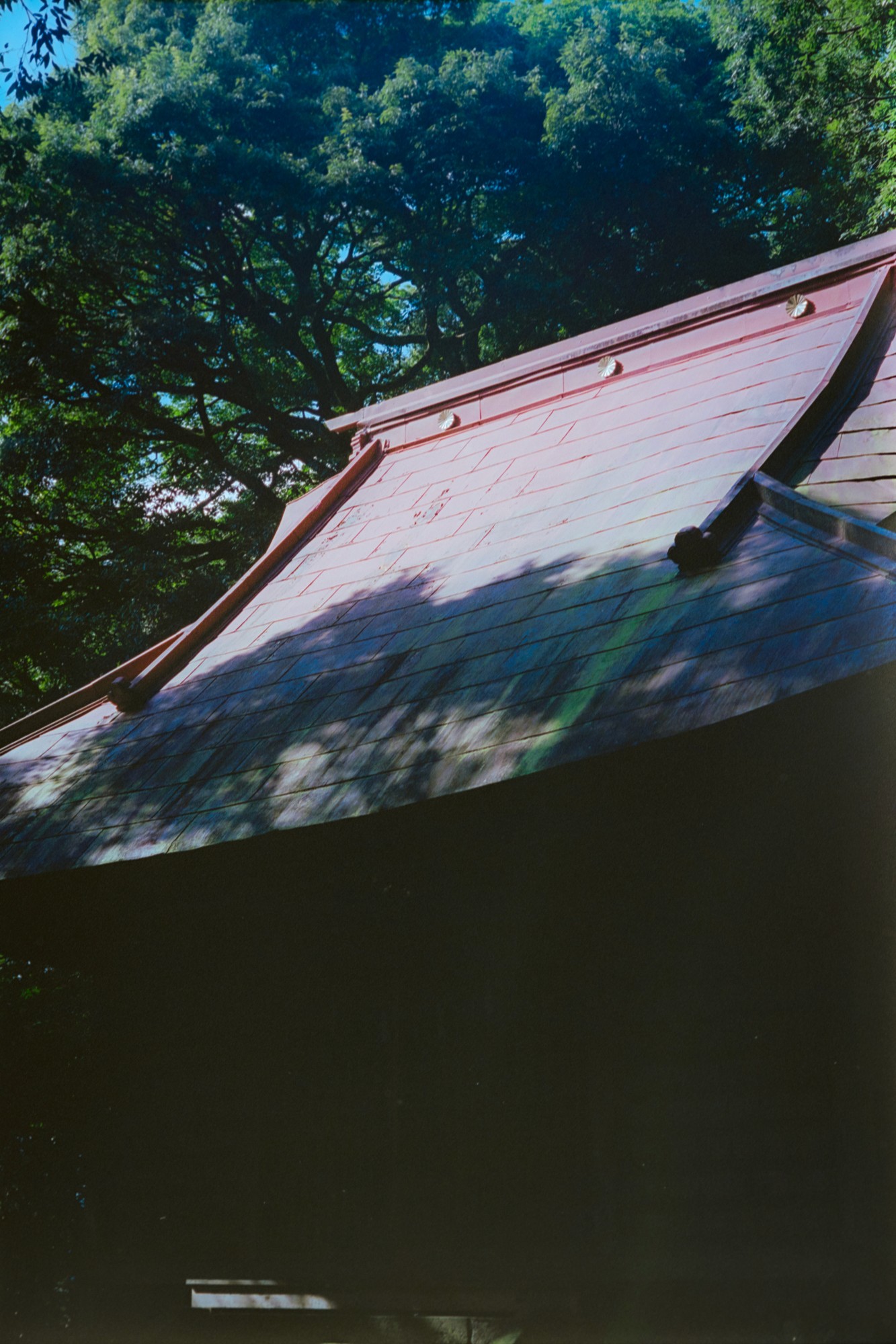 Taisei Matsumoto, 2023 exhibition view 04
