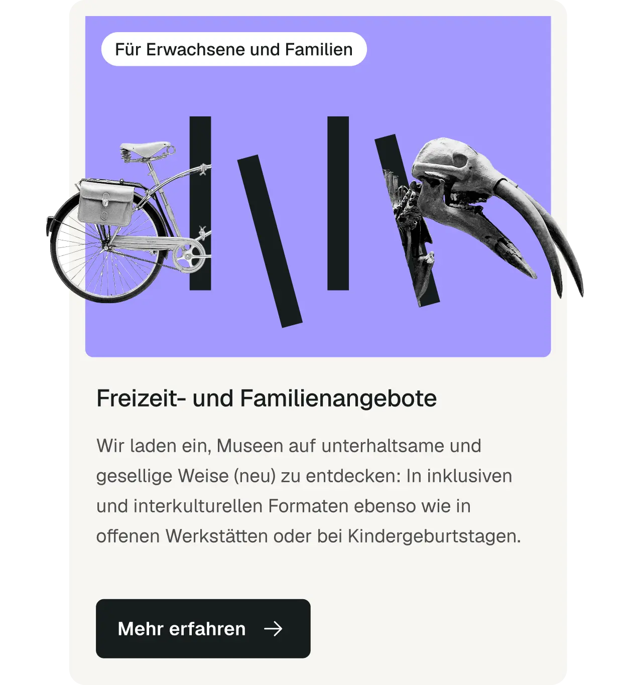 Kachel „Freizeit- und Familienangebote“ mit Collage aus Fahrrad und Vogelschädel