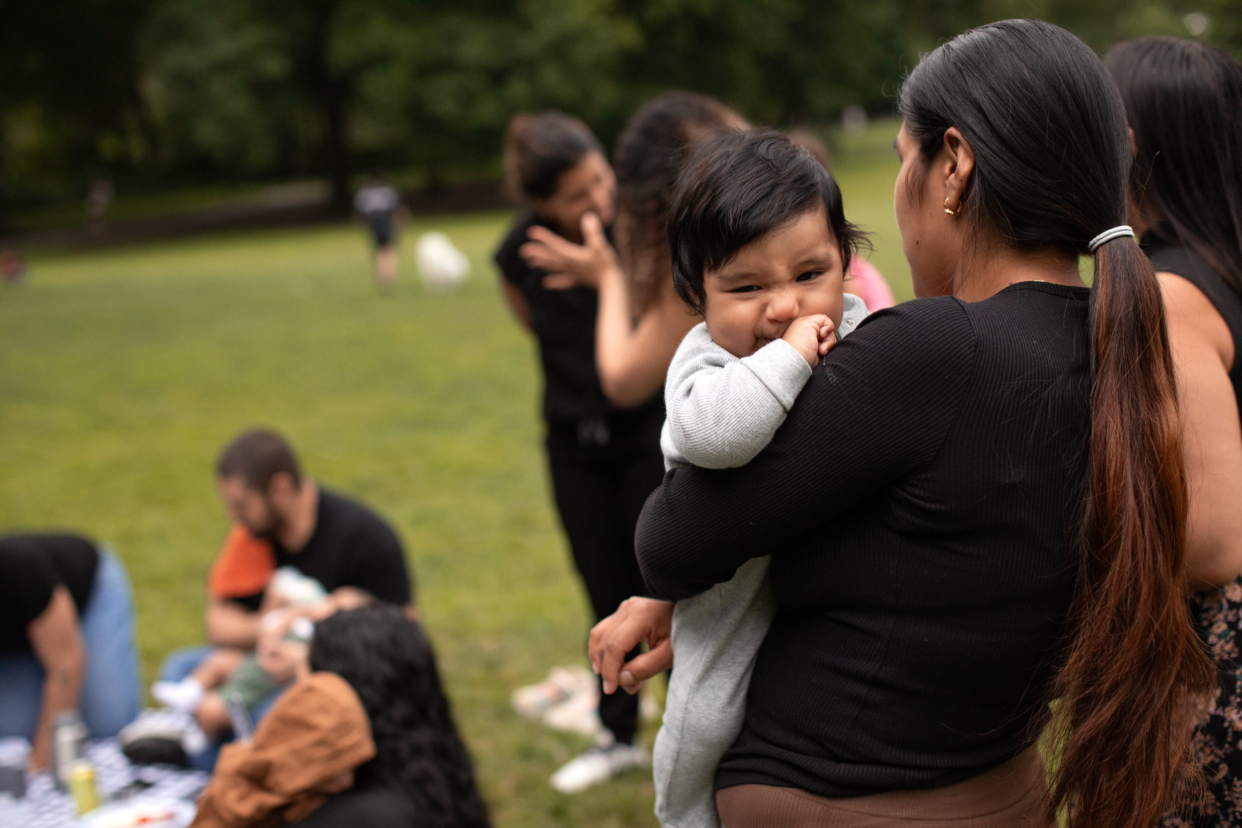 Here comes the alt text