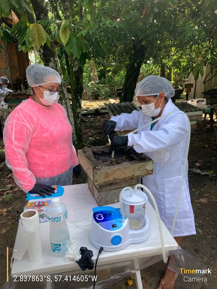 Duas mulheres realizando a colheita do mel.