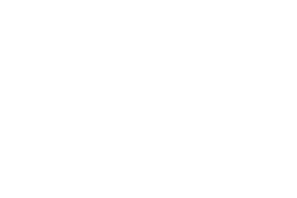 Logo for an imagined company