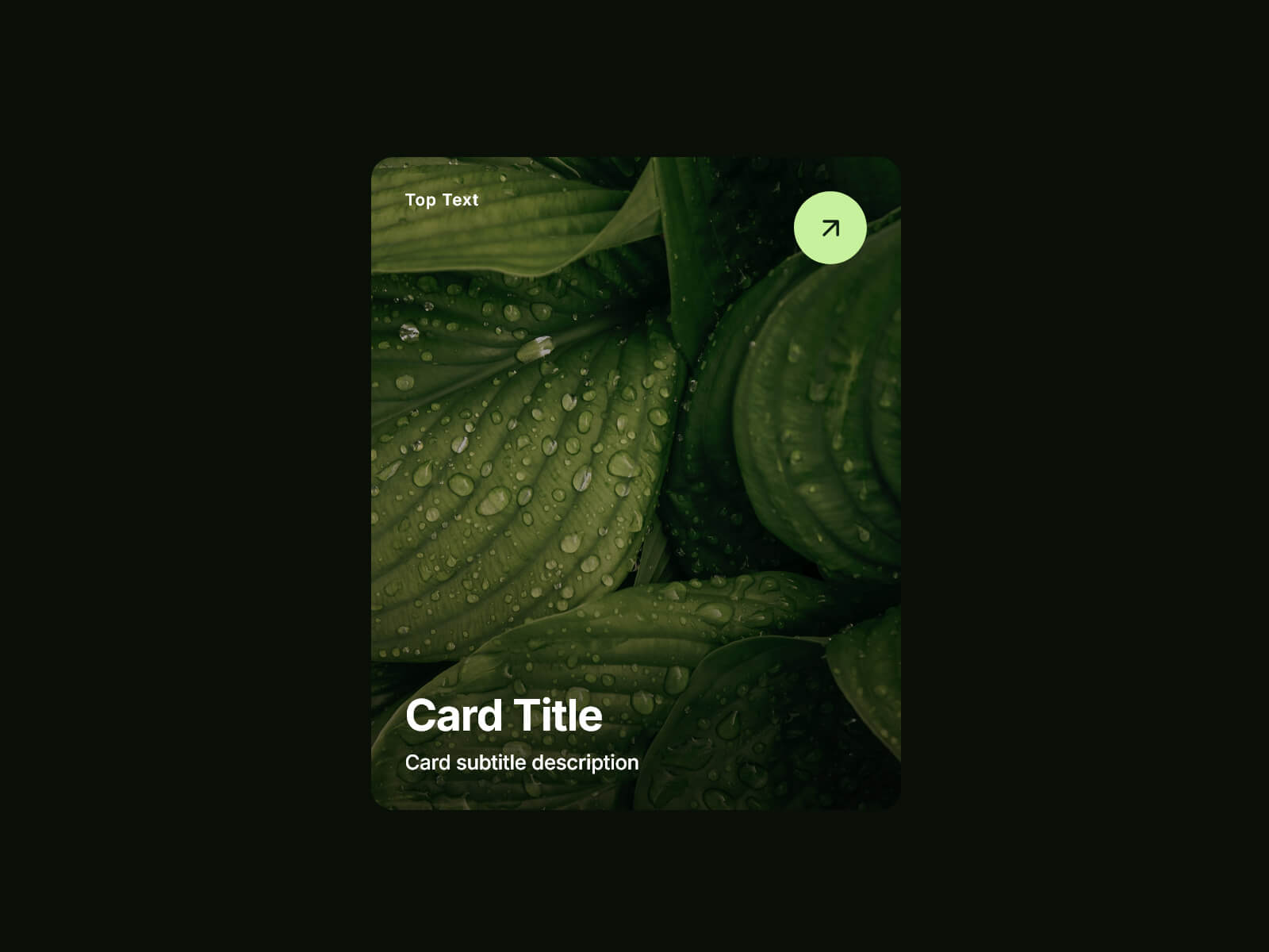 Capture d'écran du component Framer Orbit Carousel