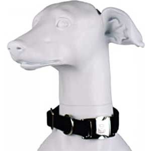 Blue-9 Secure Pro Dog Collar