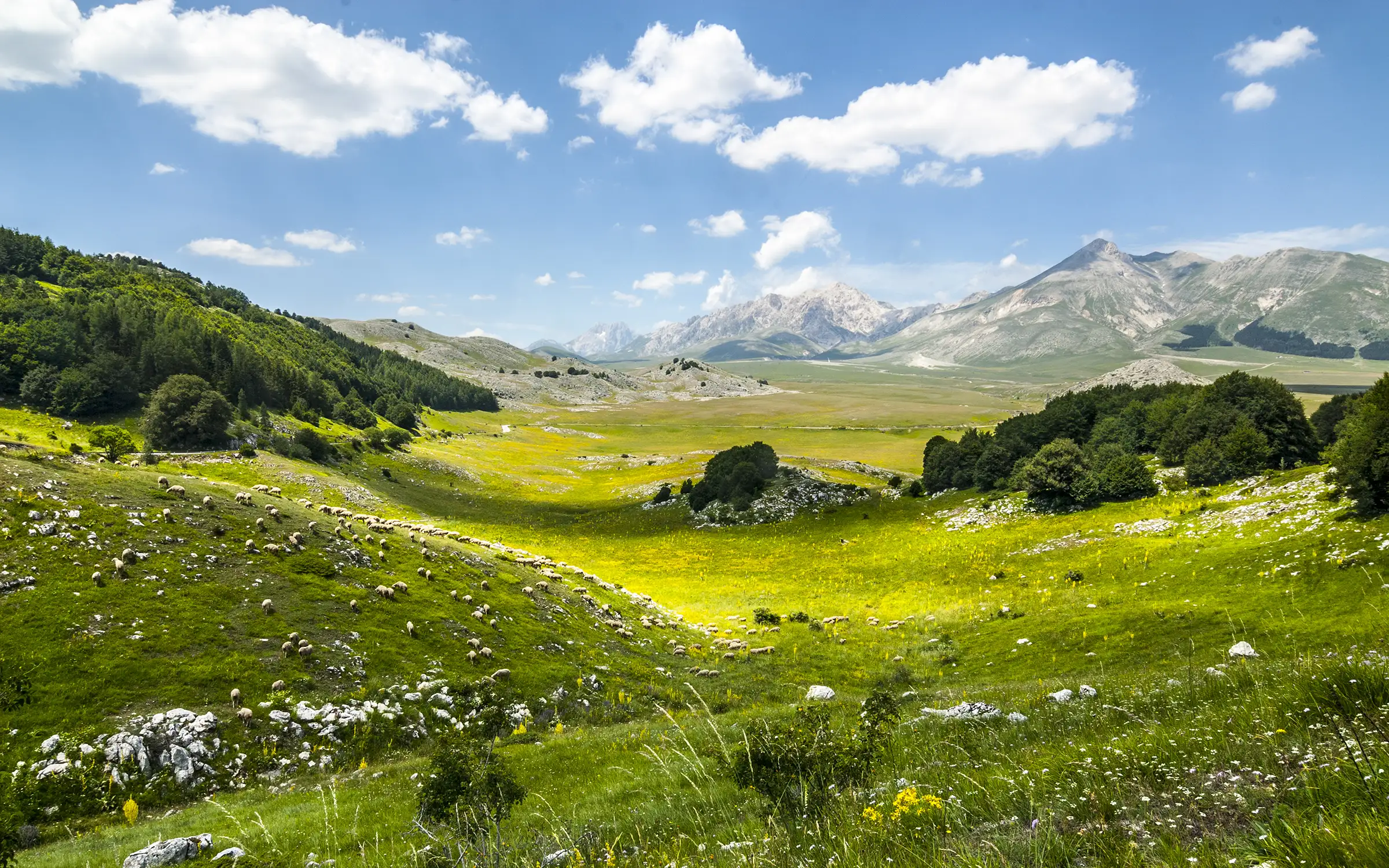 Sykkeltur fra vingård til vingård i Italia | Expa Travel