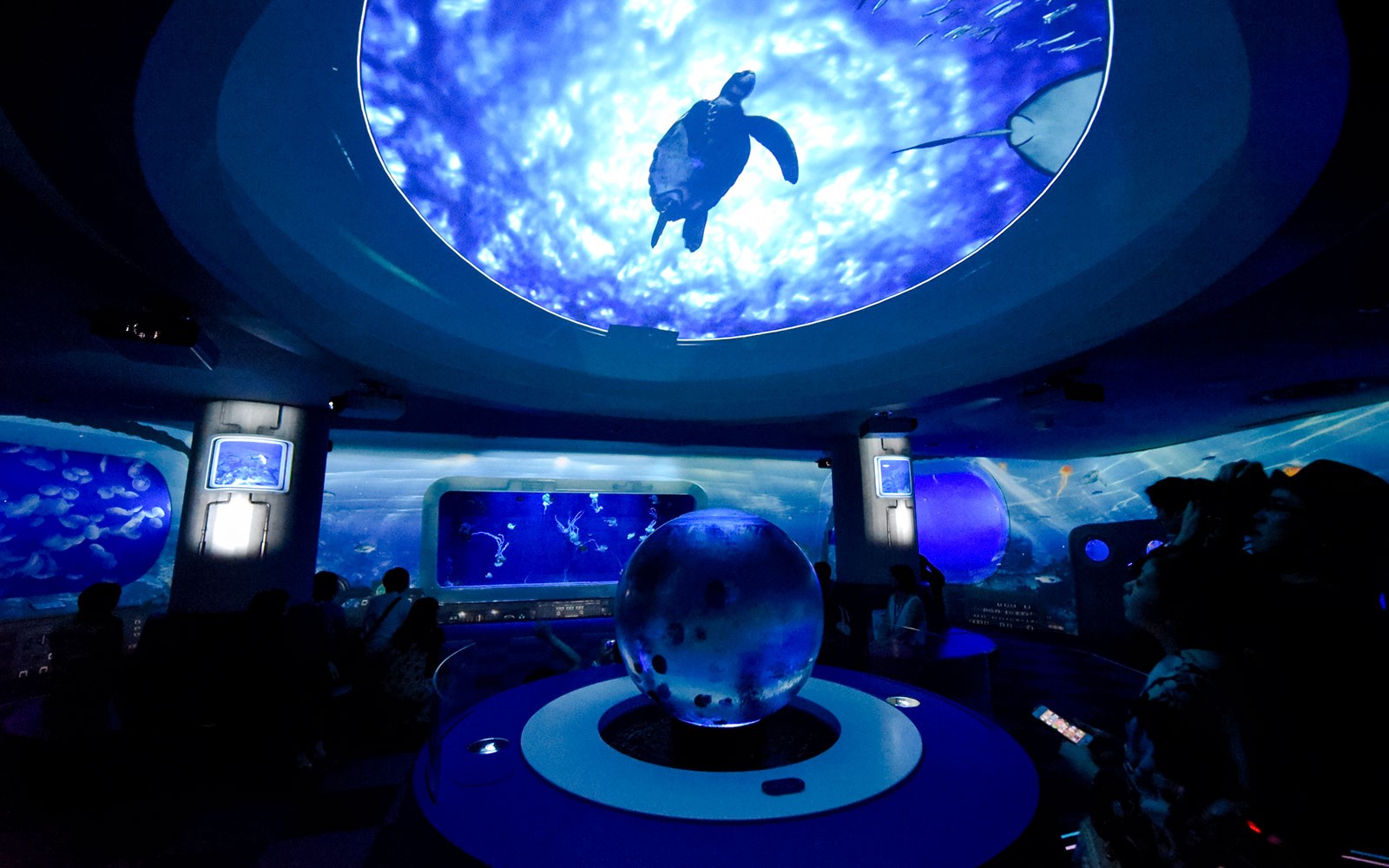 Visitors observing marine life at Enoshima Aquarium, Japan, with vibrant fish swimming in a large tank.