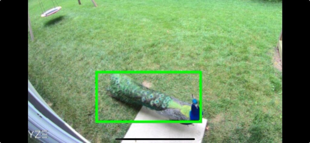 An image of Kevin in Fishers backyard