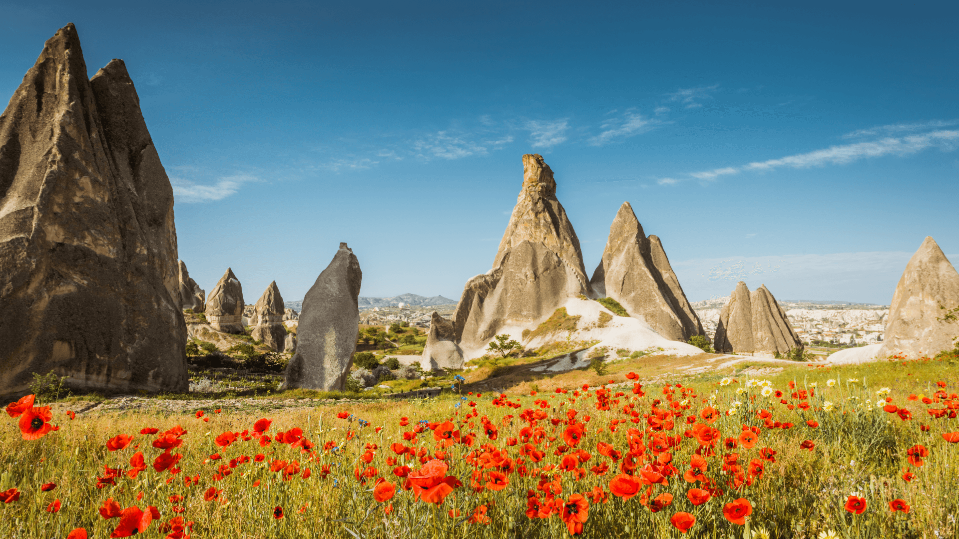 Cappadocia rock formations and red poppies in spring, best time to visit Türkiye