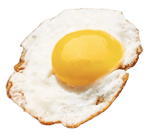 Fried Egg