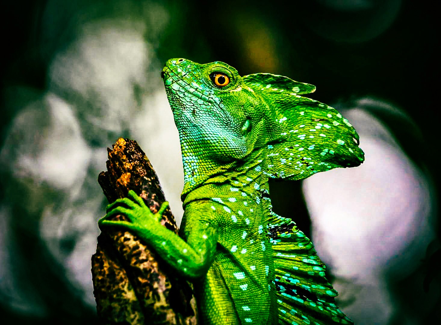 brown rock formation under blue sky during daytime