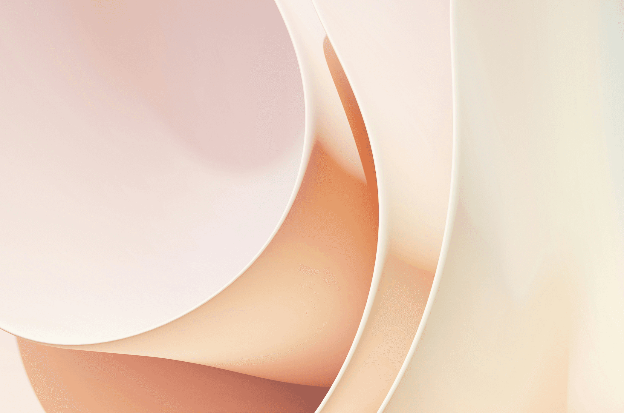 Case Study Image