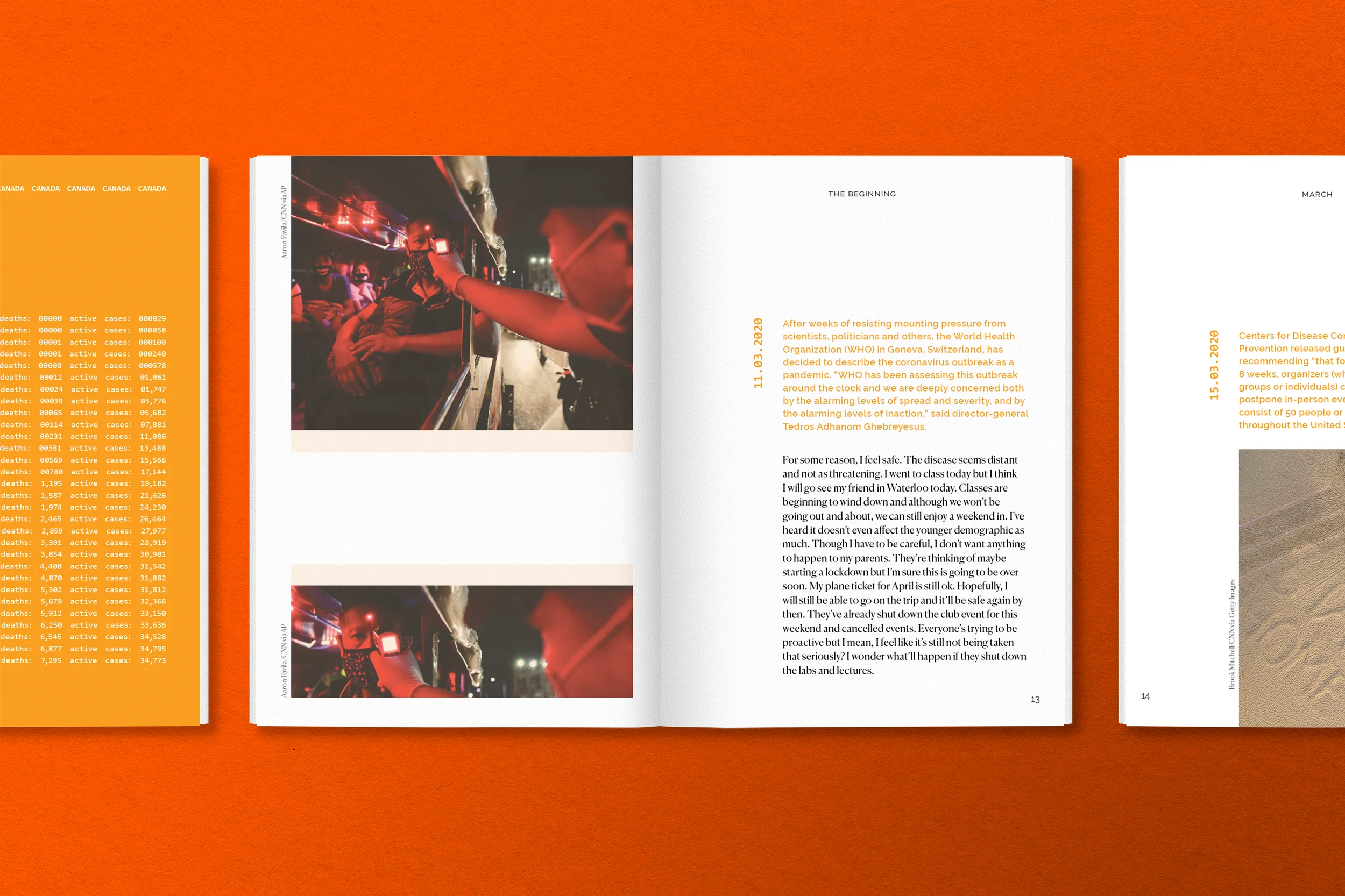 Pandemic In Review Book Spread