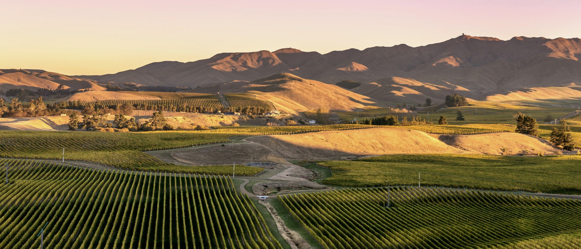 Digital Marketing Blenheim