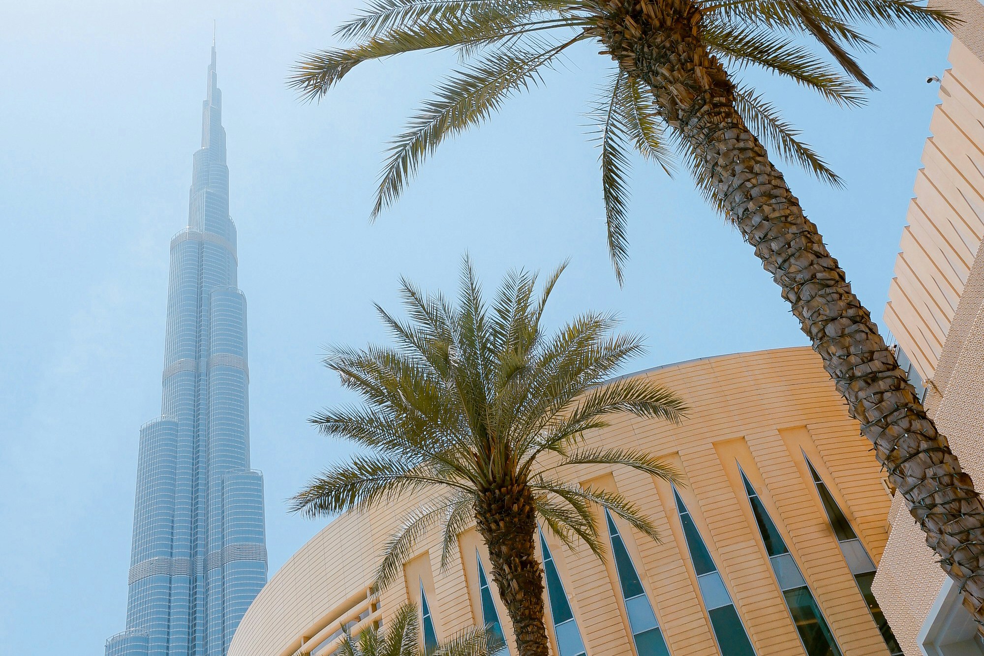 Unified Identification (UID) Number in the UAE, FirmFox