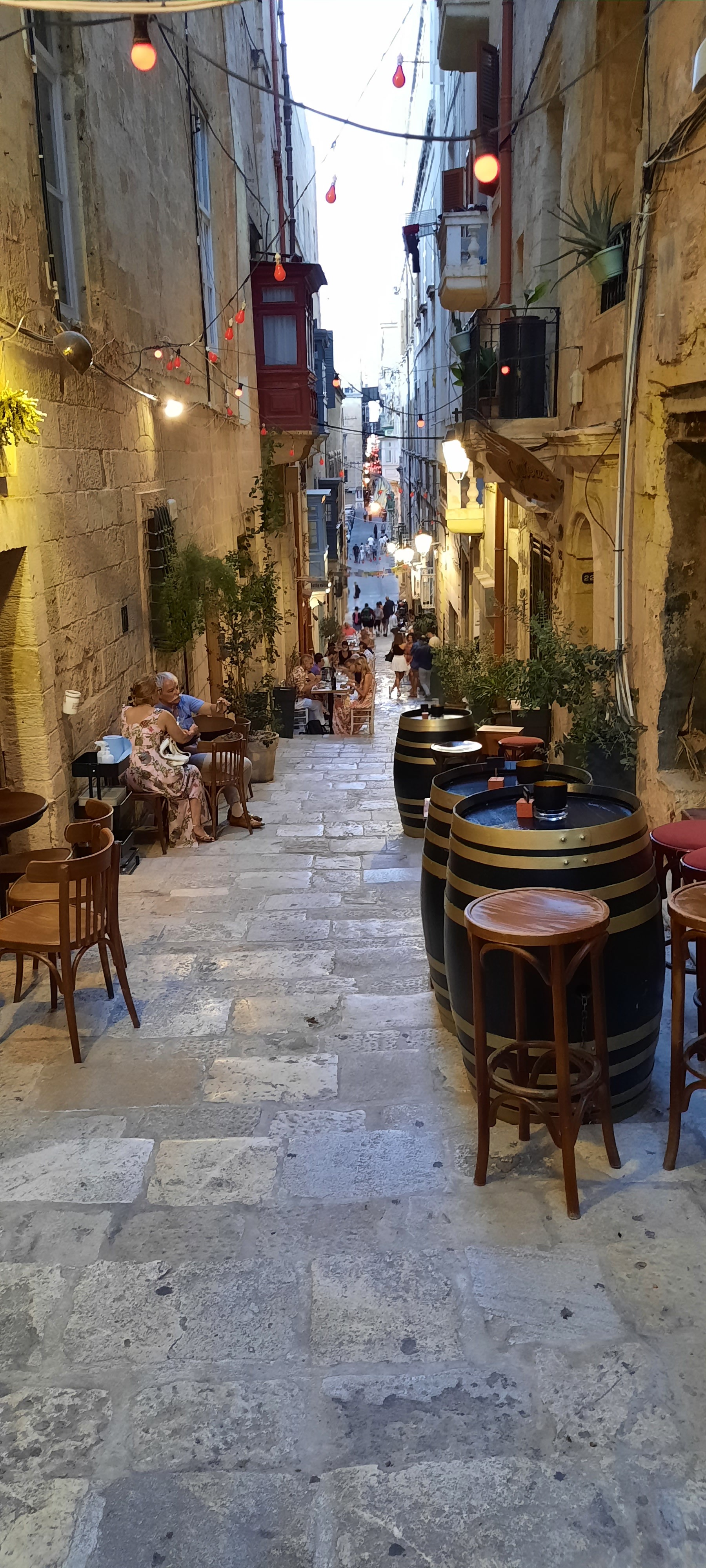 a brown dog sitting on top of a sandy beach