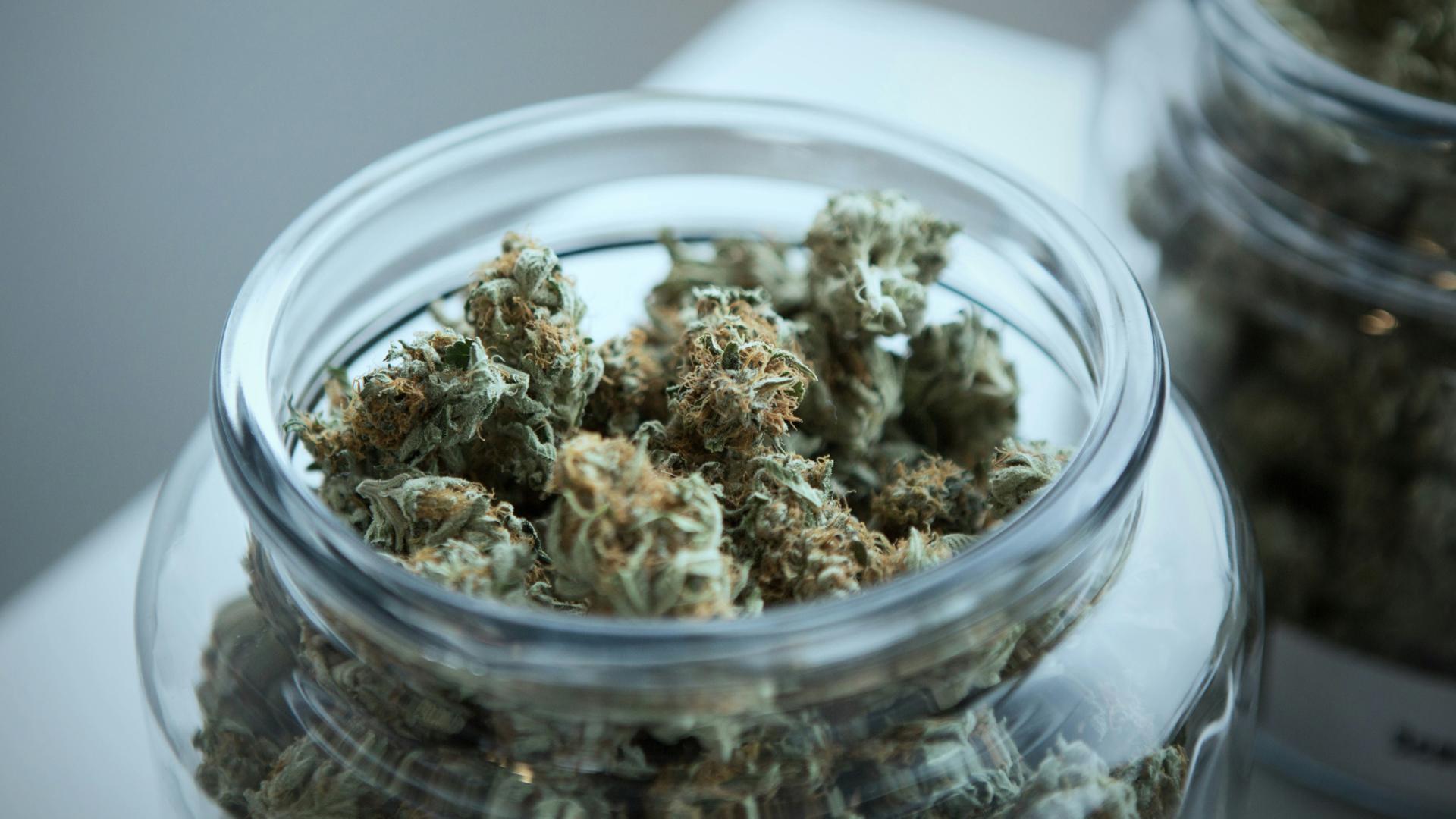 cannabis flower buds in a jar