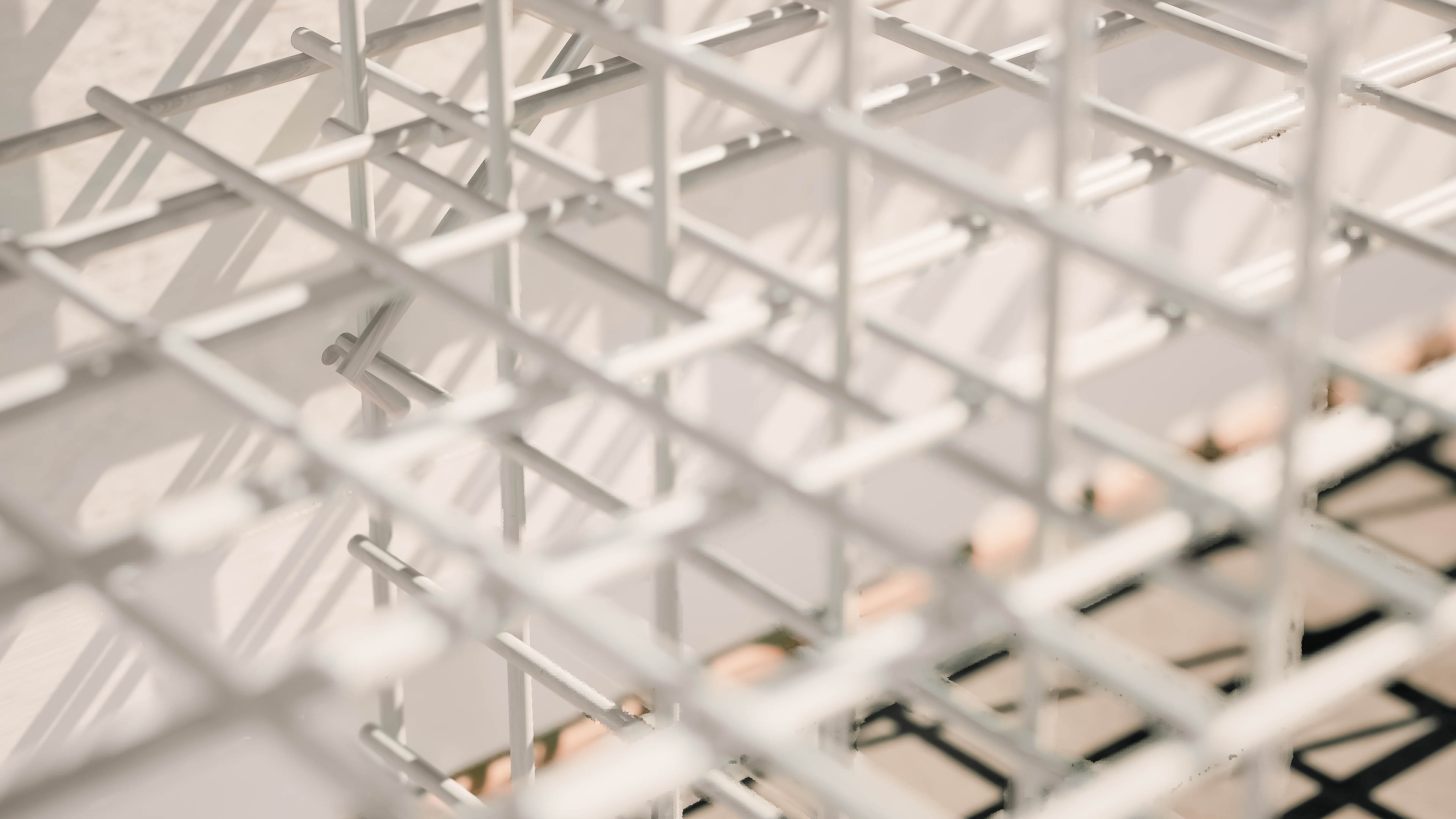 portrait photography