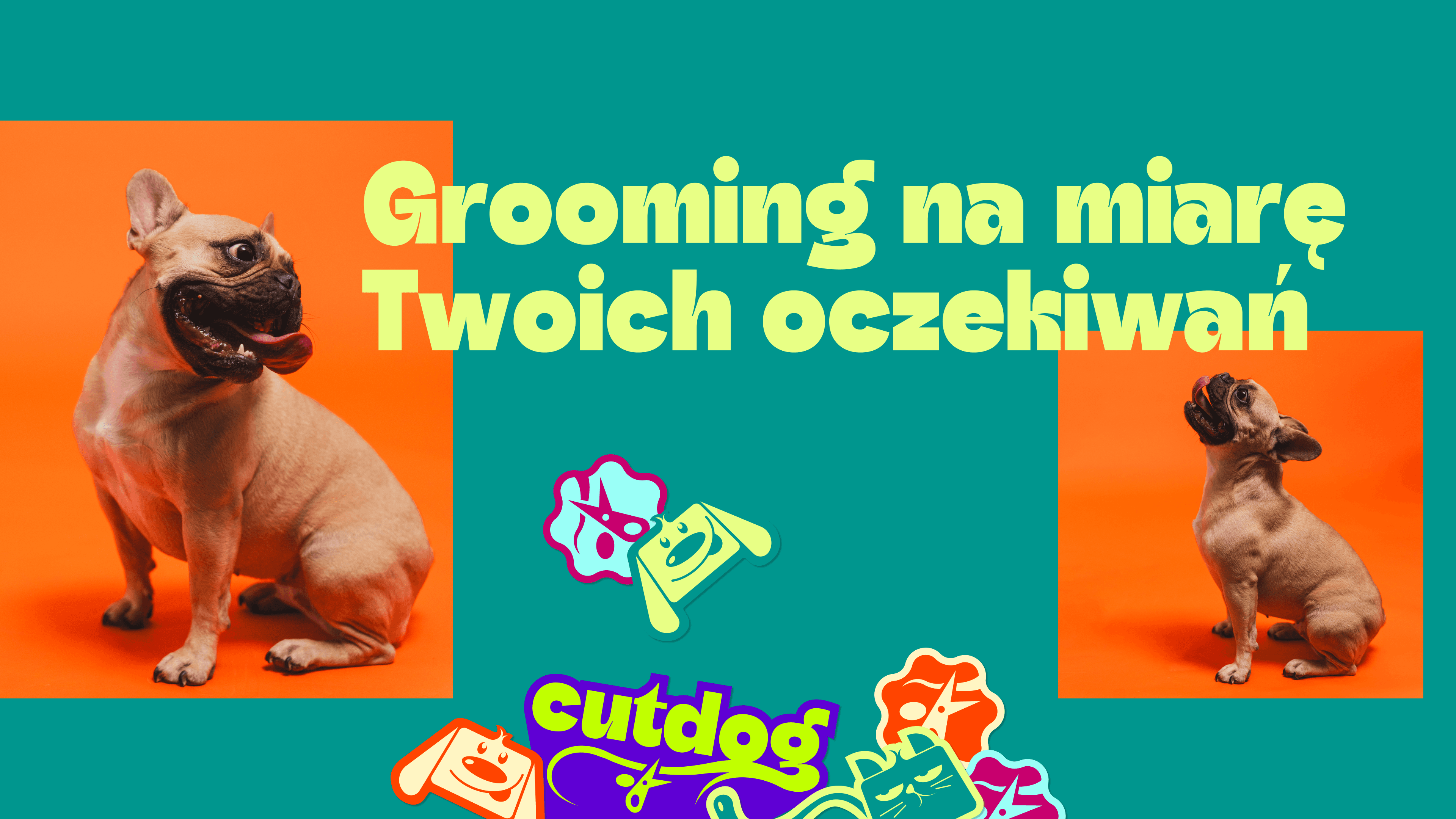 Dogs photos and stickers