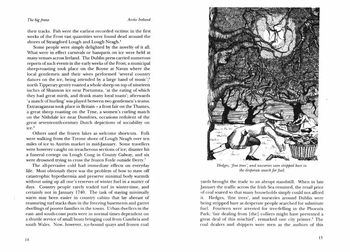 Arctic Ireland inner pages