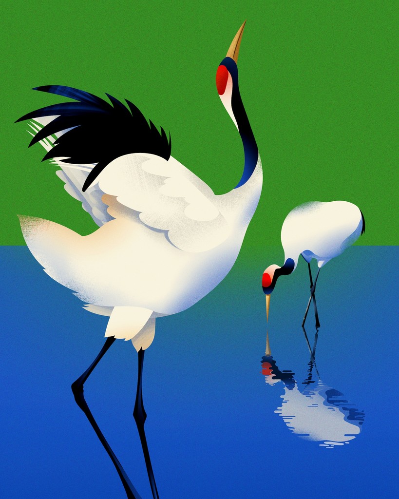 Crane
