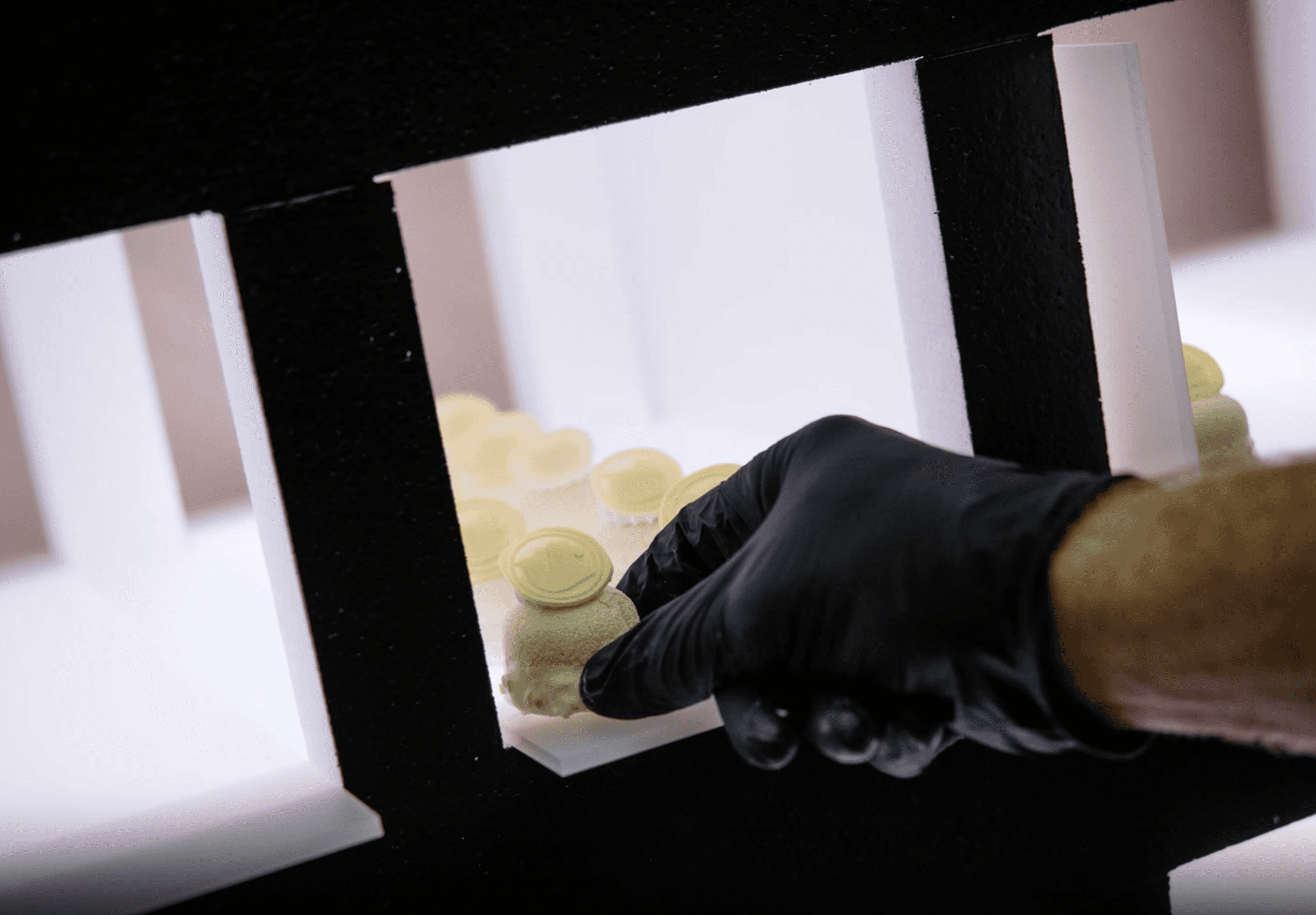 Placing sweet canape into a display case