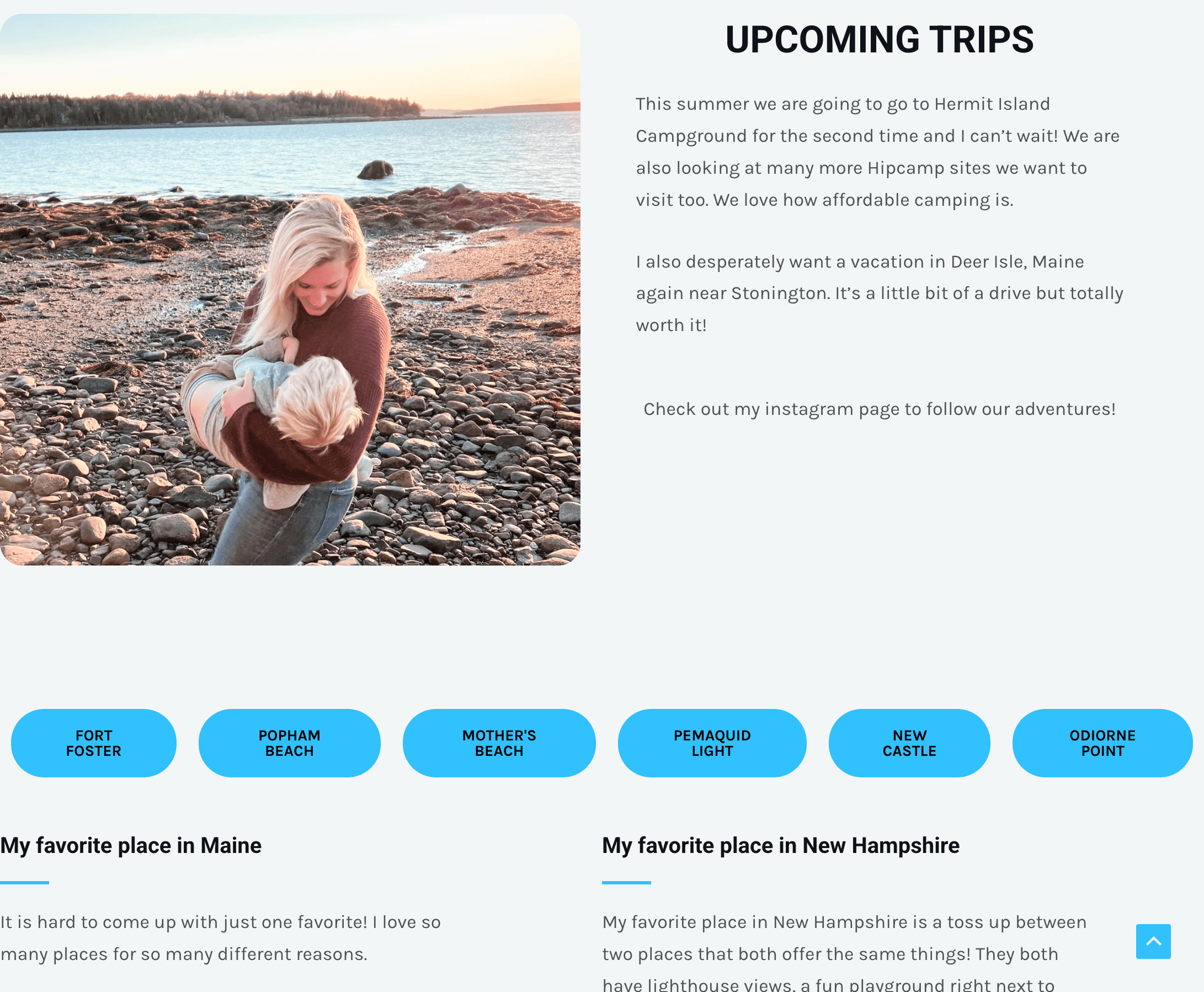 Deer crossing a road in a forest