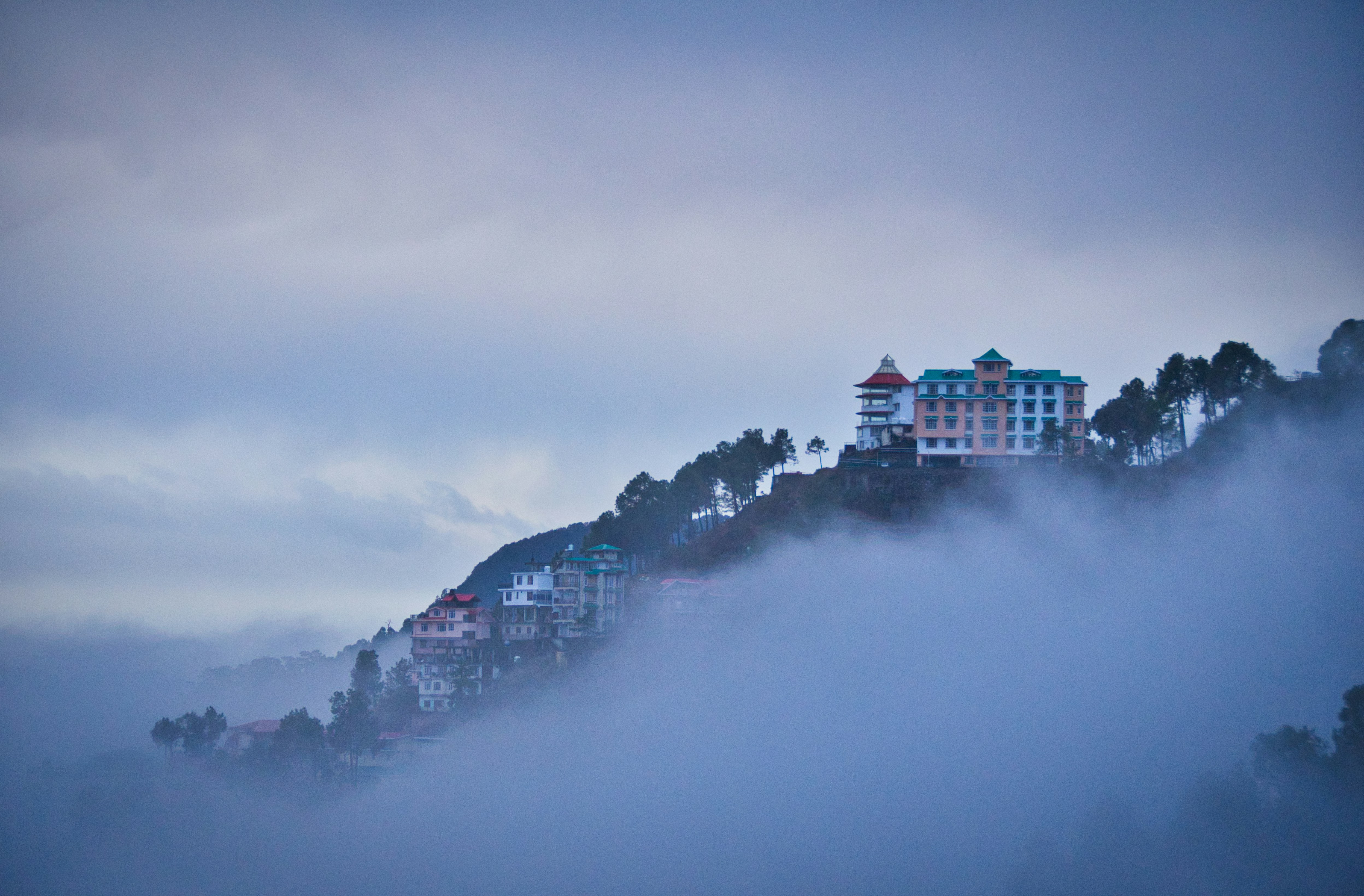 Shimla