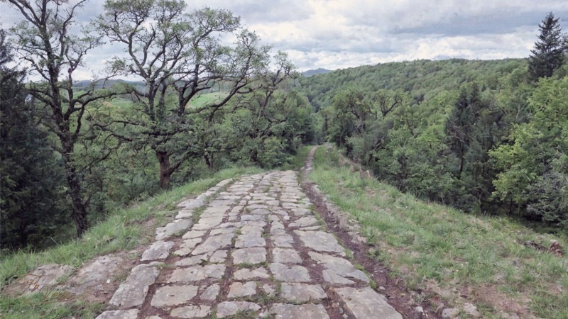 Sacred artwork by Faith and Verse. © Faith and Verse, 2026. All rights reserved. Ancient Roman road through the Vosges forest, path of Saint Columbanus and Saint Deicolus, 610 AD.