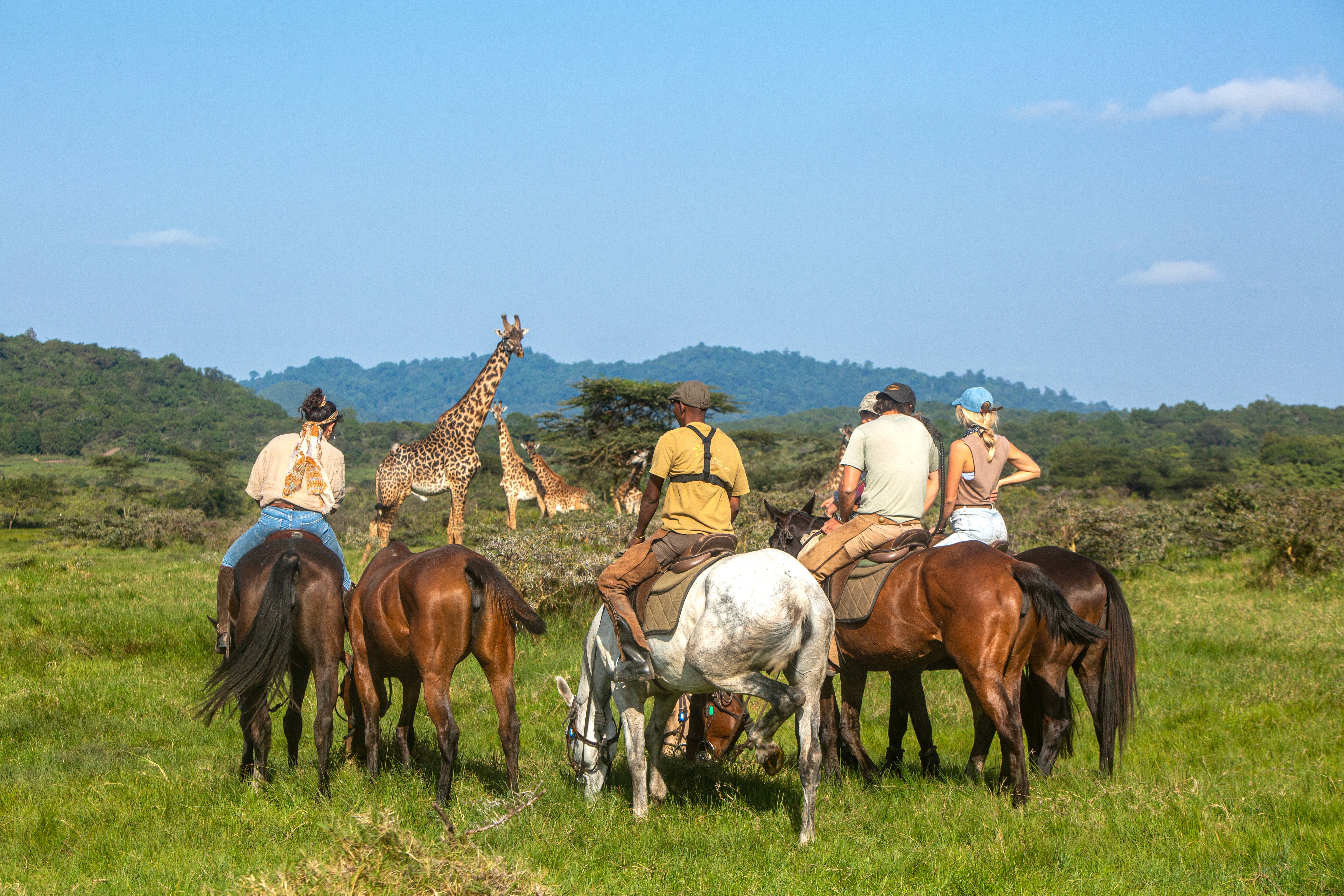 Kilimanjaro Elephant Ride ridsafari, Tanzania – fem ryttare till häst i grönskande gräslandskap med giraffer i bakgrunden, och kullar och höga berg längre bort.