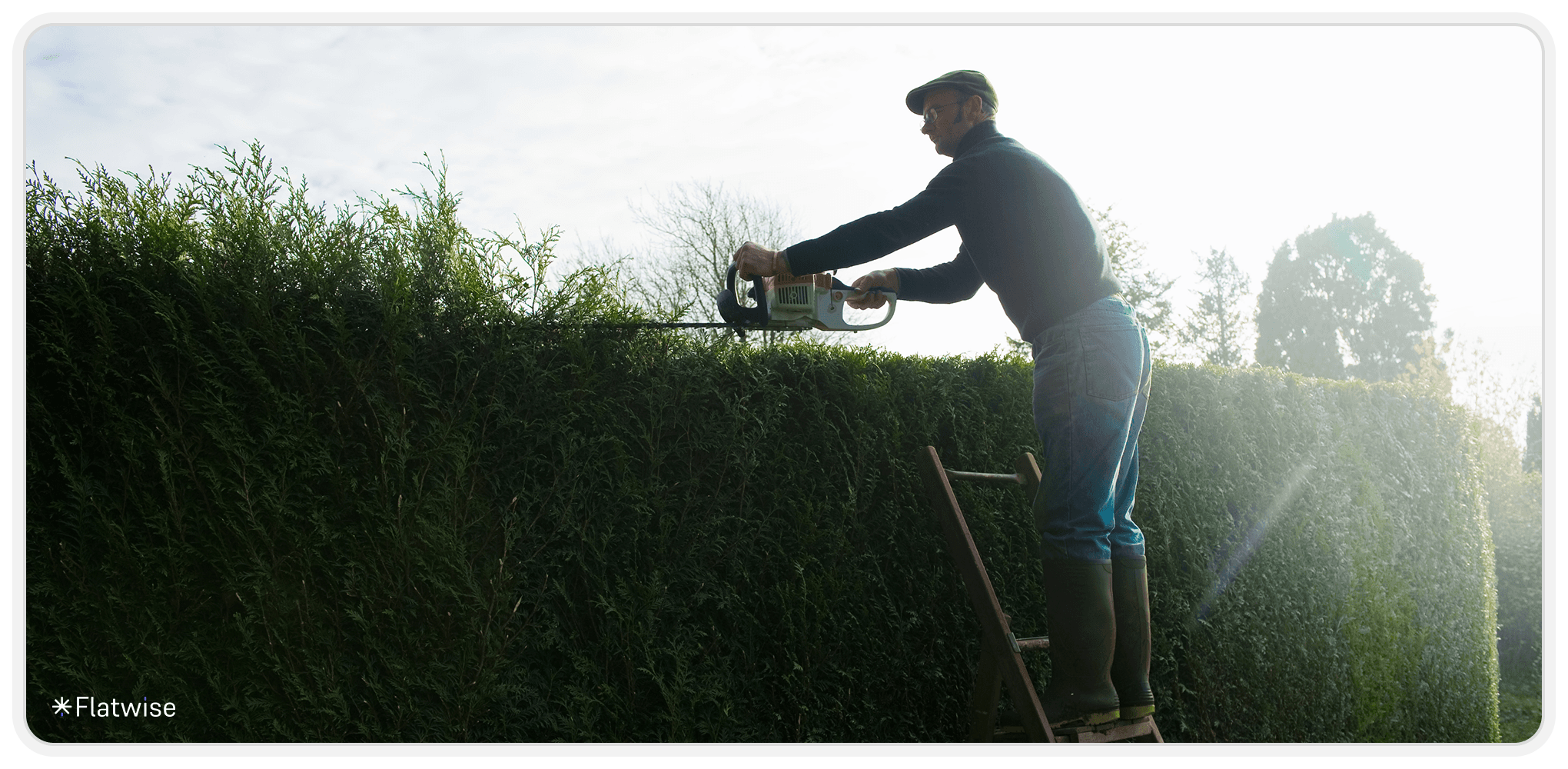 Foto von einem Hausmeister, der eine Hecke schneidet.