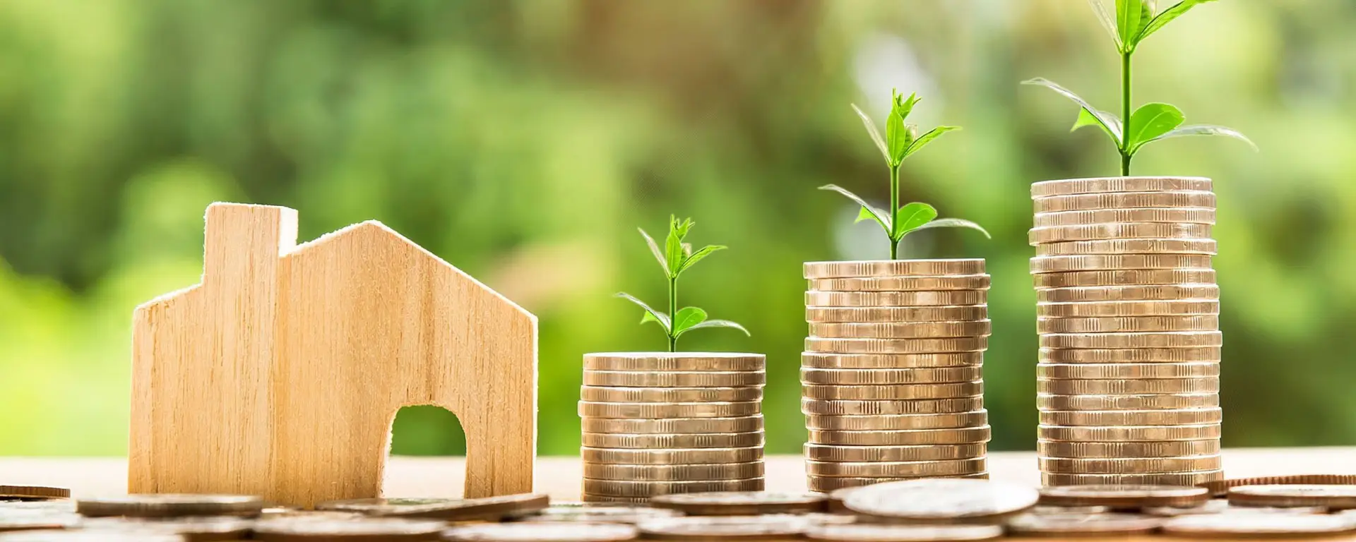 How To Buy A New House At Tres Lagos