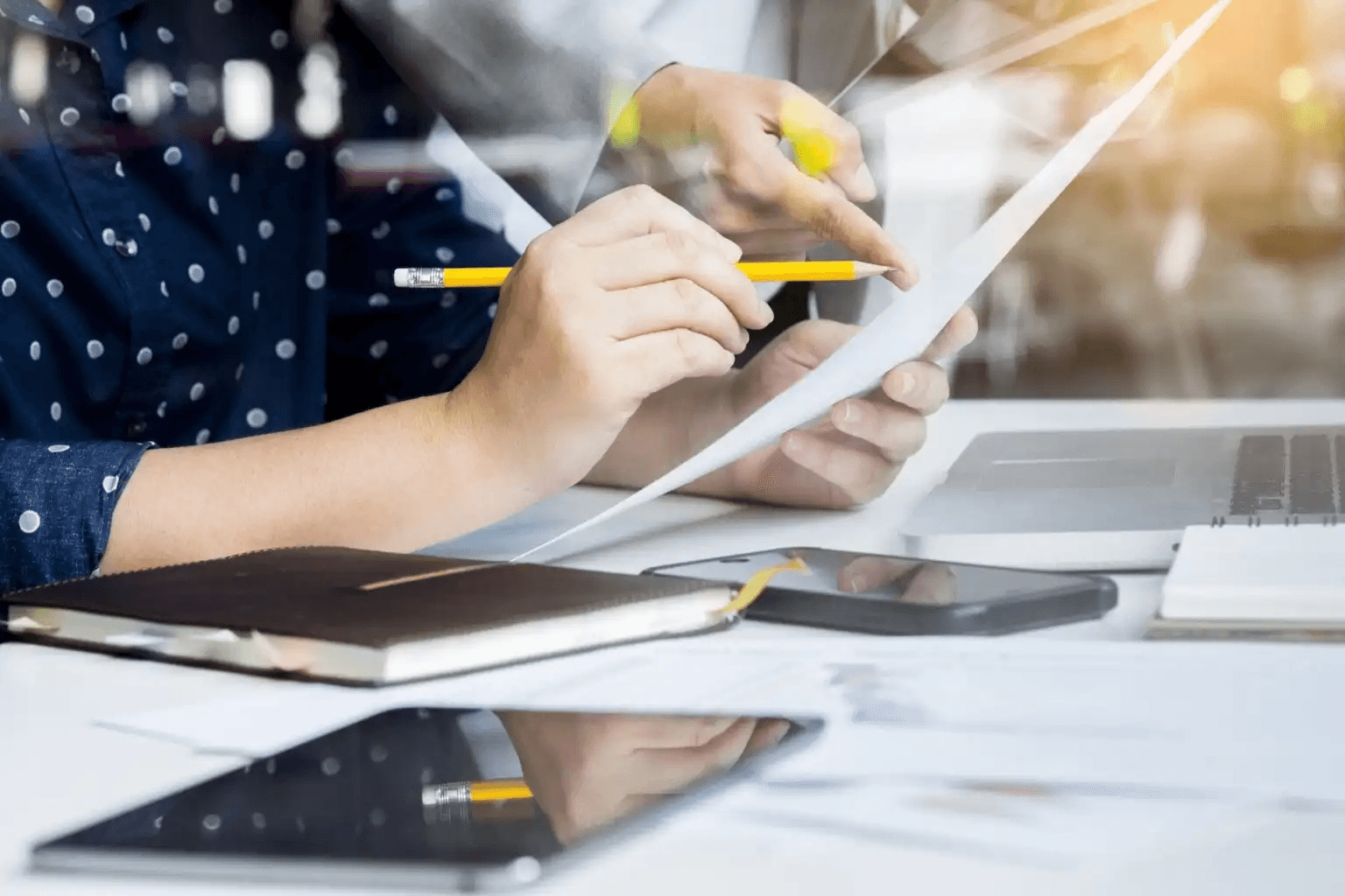 정시 경쟁률, 의대 정원 증원, 상향 지원, 대학 경쟁률