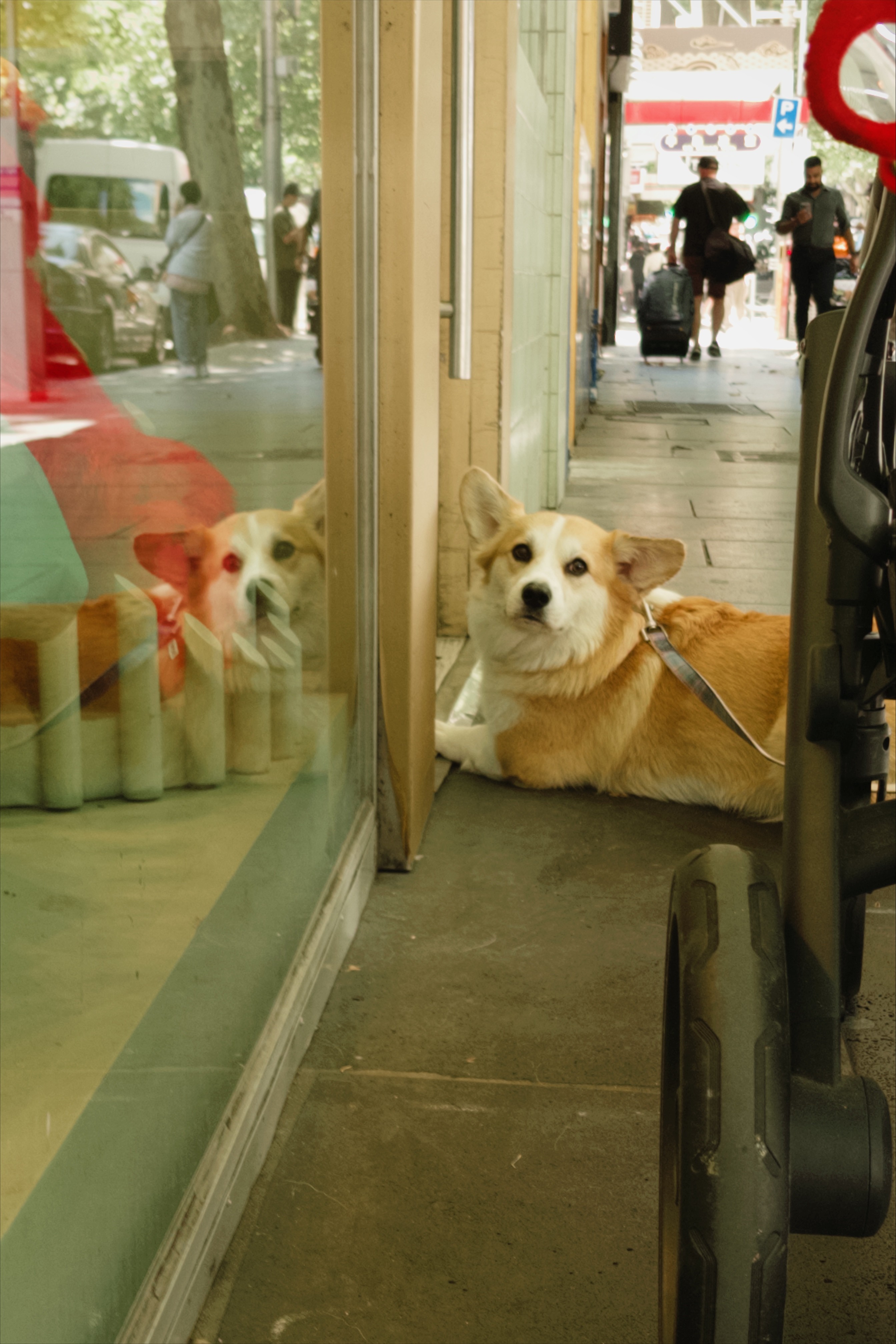 A close-up of a hand wearing multiple decorative rings against a blue background.