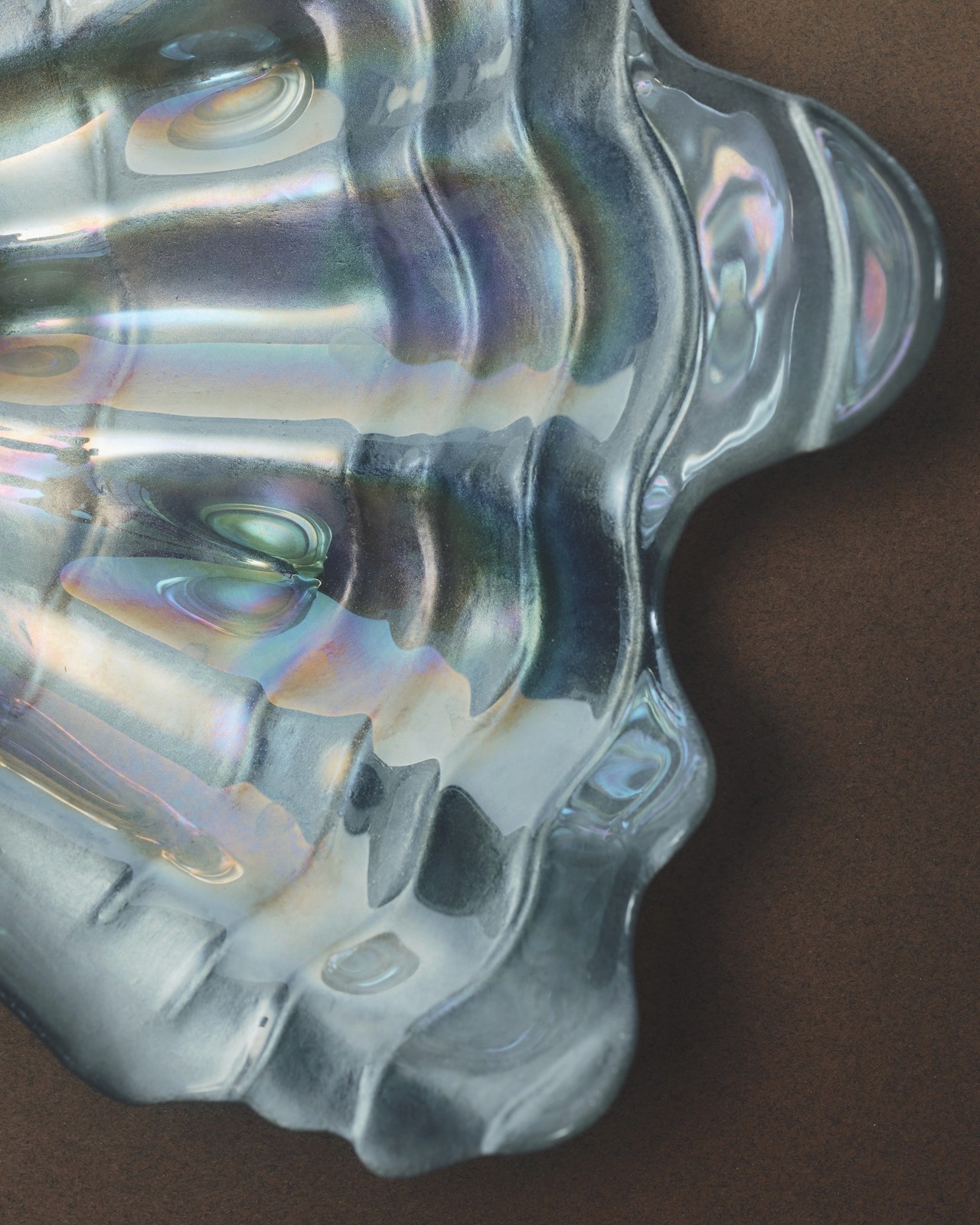 Shell Tray