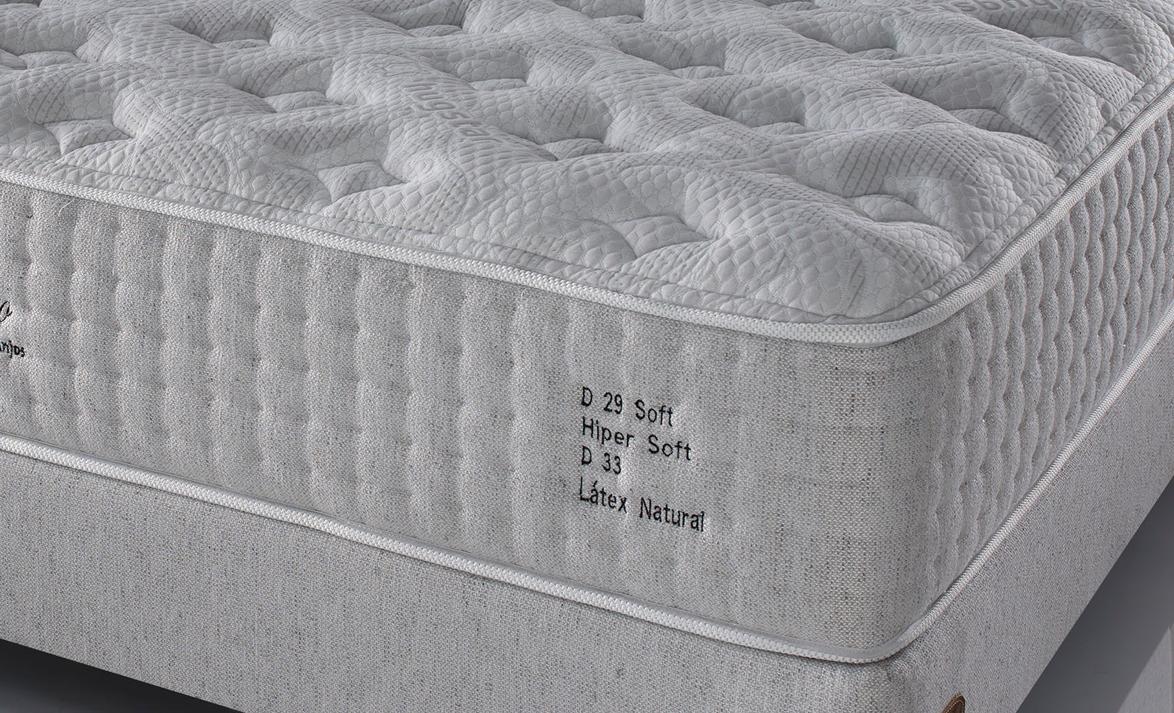 Bold fashion portrait