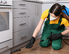 Termite & Specialty Services illustration