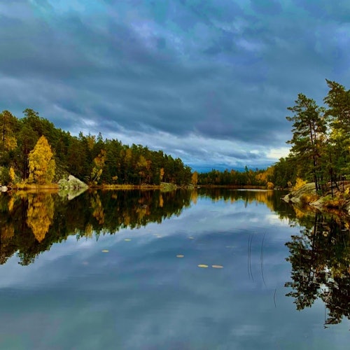 Autumn Hiking Tour Stockholm