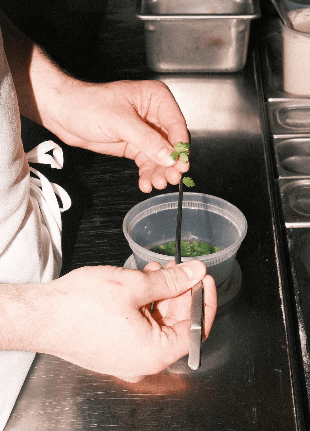 Un cuisinier sépare les feuilles d'une pousse verte à l'aide de pinces lors des préparatifs du Ambre.