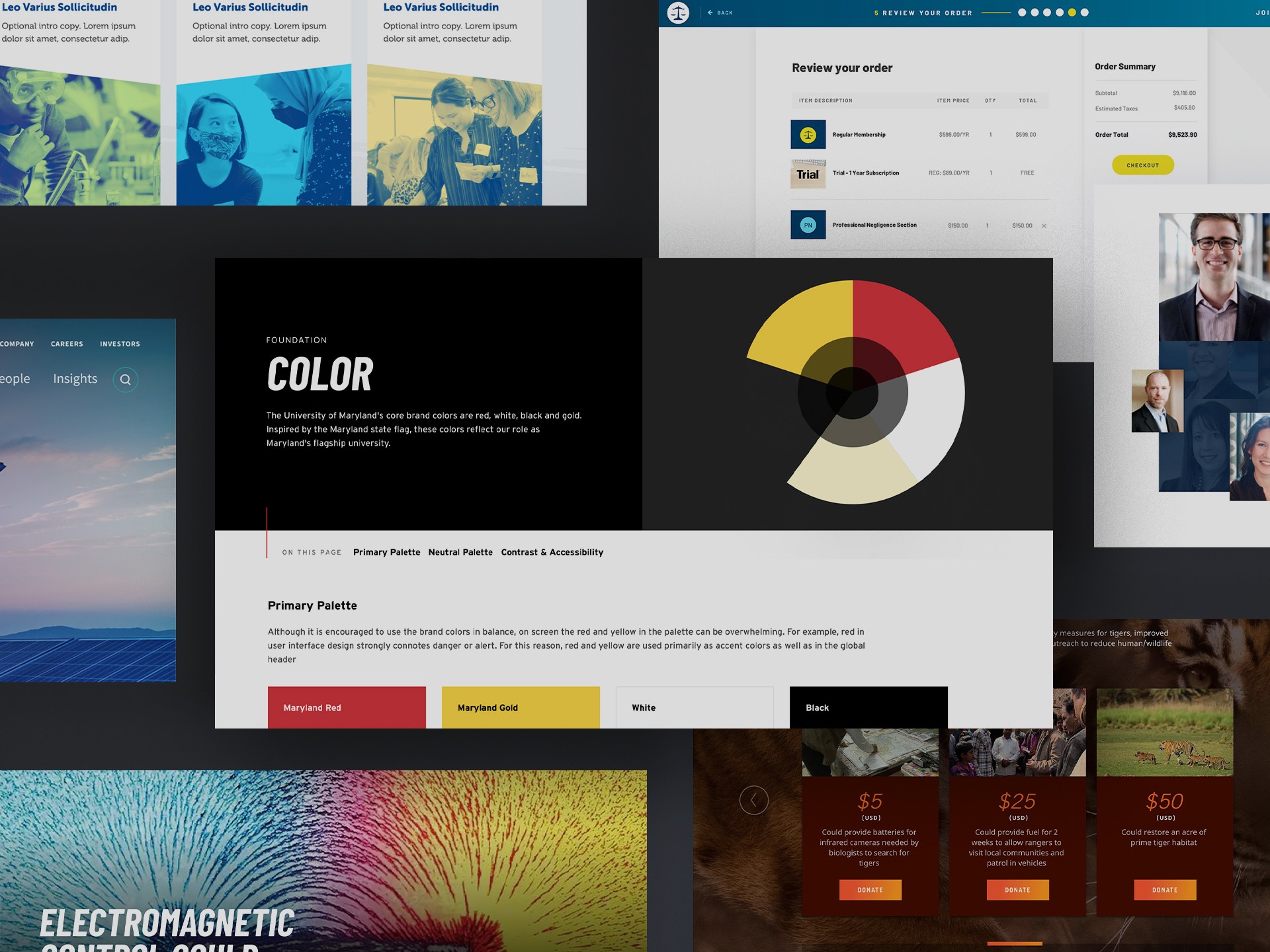 collage of many different scenes